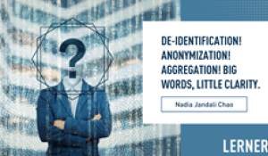 De-Identification! Anonymization! Aggregation! Big Words, Little Clarity.