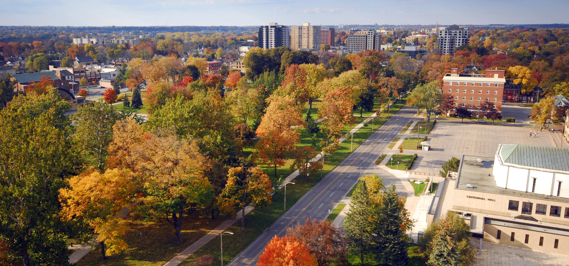 Tree lined street leaves are turning fall colours.