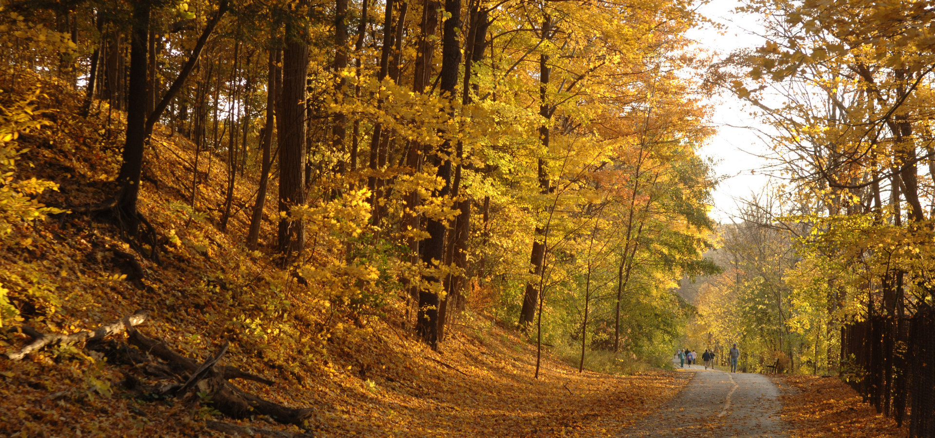 Walking and biking trail in the fall.