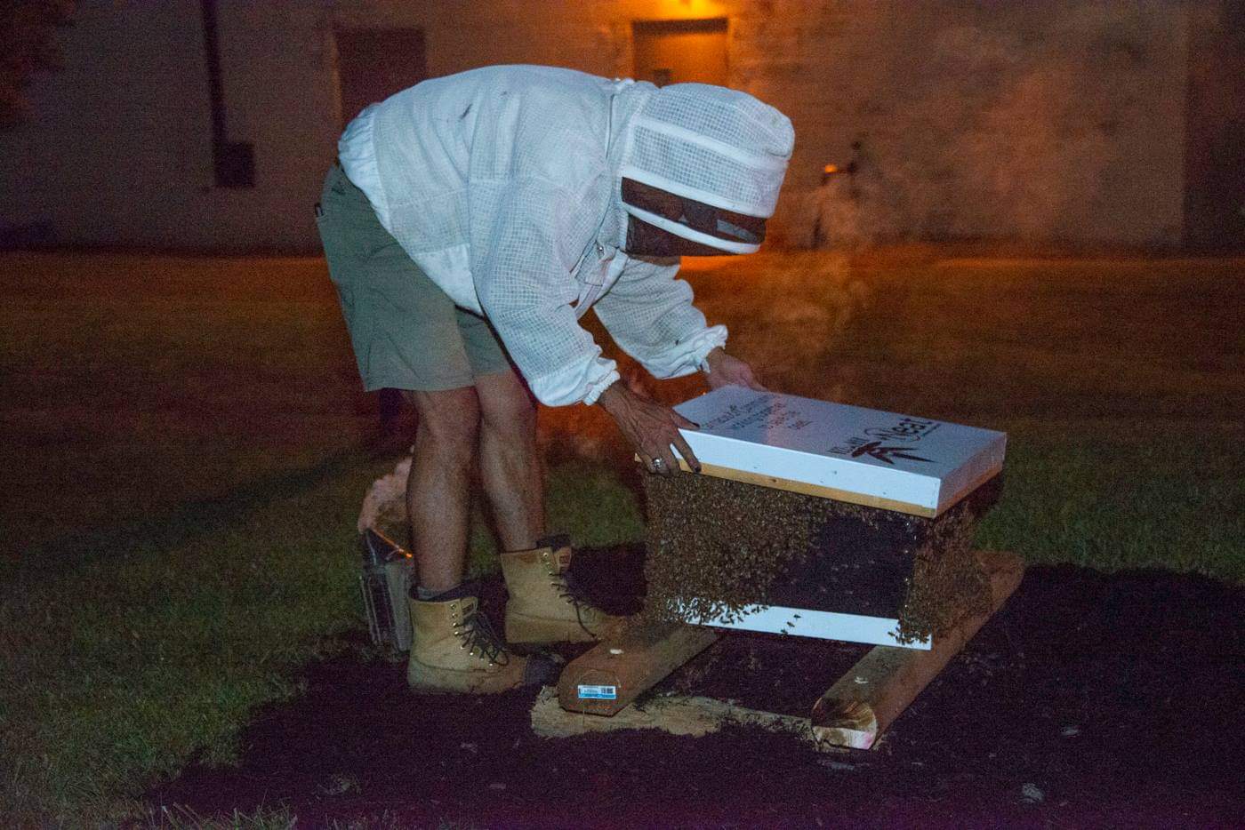 Hive Box Installation 