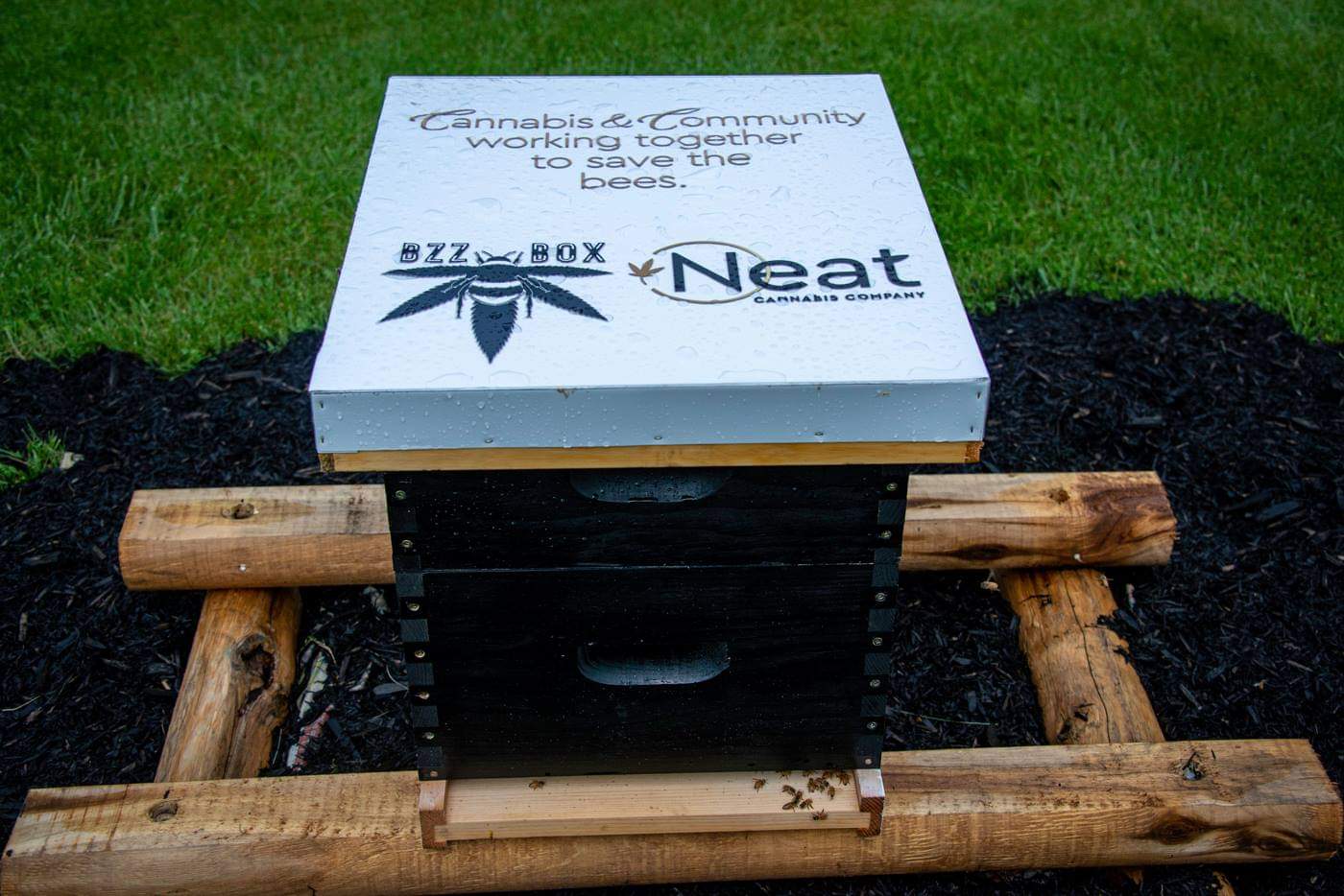 Hive Box