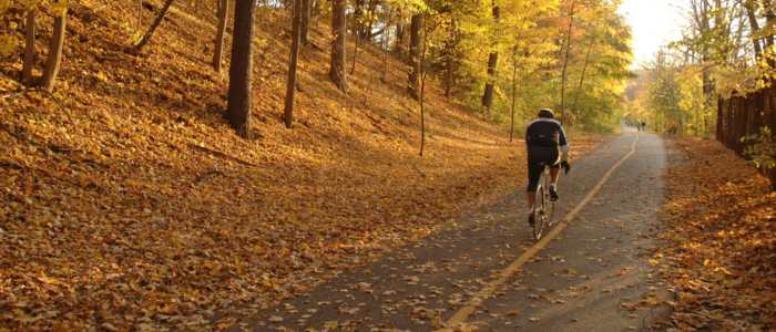 Biking in the Park