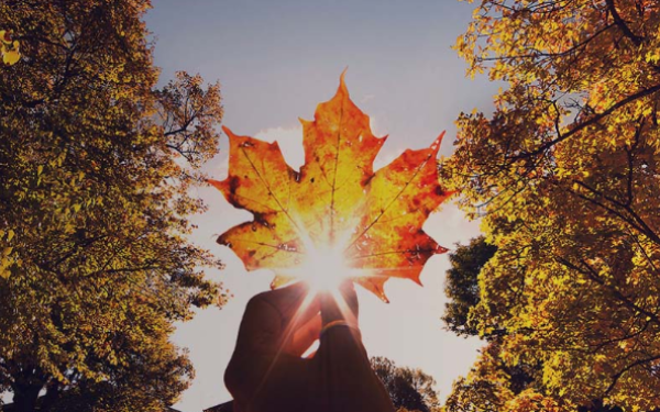 New $50 Million Ontario Together Trade Fund Opens April 23