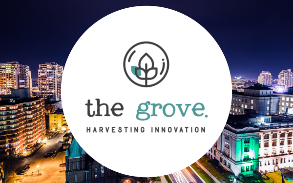 The Grove 2025 