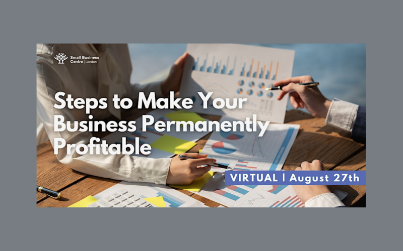 Steps to Make Your Business Permanently Profitable