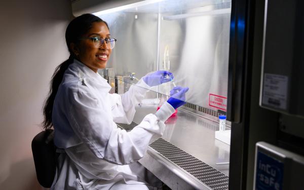 Schulich PhD candidate captures blood vessel splitting in action