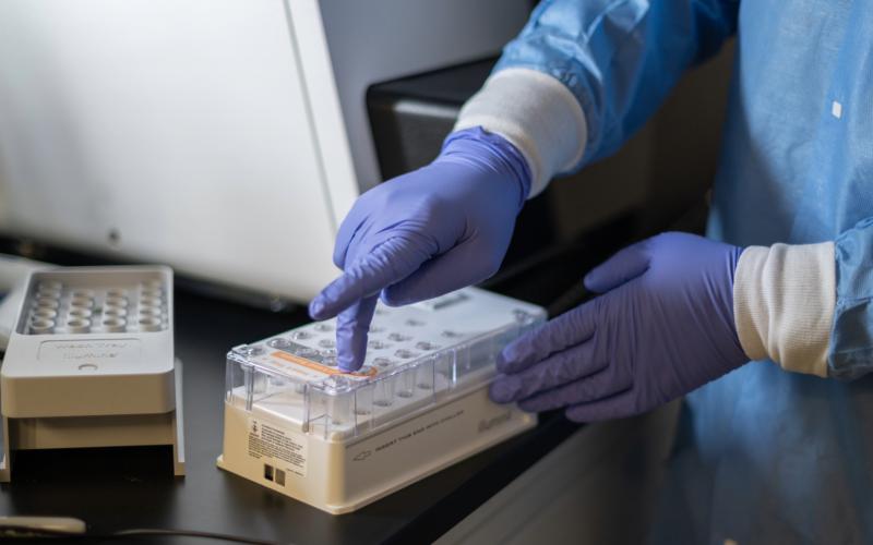 The Global Virus Network’s mission aligns with Western’s plans for the Pathogen Research Centre, which will be dedicated to understanding pathogen biology, testing new technologies to prevent transmission and developing potential treatments. (Megan Morris/Schulich Medicine & Dentistry)