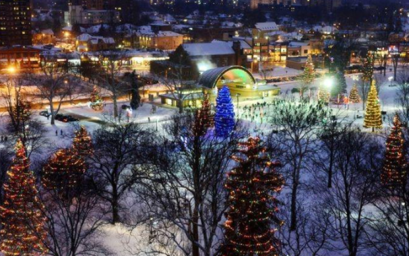 Victoria Park Lighting of the Lights