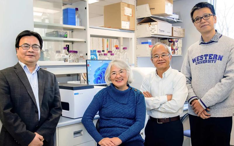 An international research team, including (L to R) professors Pingzhao Hu, Kun Ping Lu, Xiao Zhen Zhou and Boyu Wang, have received four years of federal funding from the Natural Sciences and Engineering Research Council of Canada (NSERC) and Canadian Institutes of Health Research (CIHR) as part of the Canada-France artificial intelligence program. The researchers are studying an enzyme that can cause cancer and infectious disease. (Christopher Kindratsky/Western Communications)