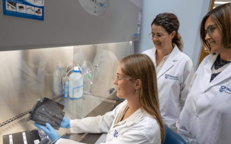 A Western Bone and Joint Institute grand challenge interdisciplinary team is investigating innovative solutions to help people suffering from chronic back pain. (L to R) Graduate student Emma Punkari with professors Cheryle Séguin and Lauren Flynn, who co-lead the team, apply bioreactor strategies to culture engineered disc tissues under conditions that simulate normal loading in the spine. (Parshati Patel/Western Research)