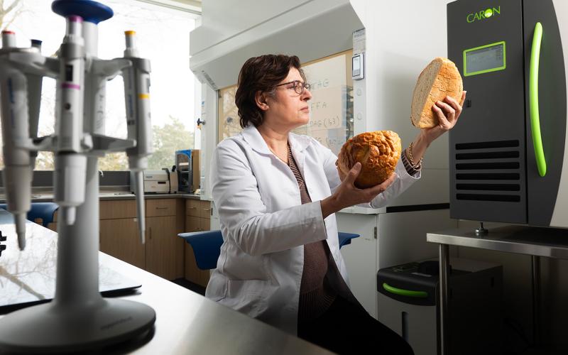 Latifeh Ahmadi, professor in the Brescia School of Food and Nutritional Sciences studies food waste. She's come up with an intriguing way to re-use a Greek yogurt by-product in sourdough bread. (Iulia Costache/Faculty of Health Sciences)