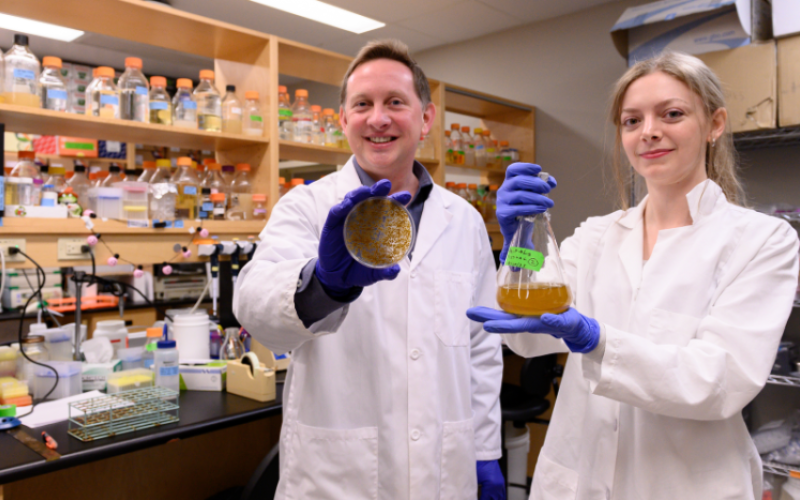 Western researchers Bogumil Karas and Emma Walker discovered an innovative way to re-engineer algae cells, a finding that could lead to new compounds for the creation of biofuels and health products. (Megan Morris/Schulich Medicine & Dentistry)