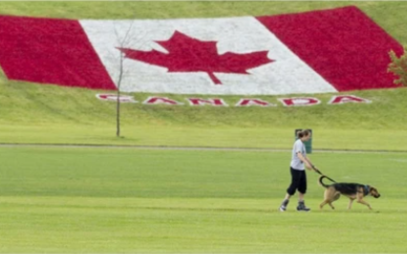 A woman rollerblades with her dog past a large Canadian flag painted onto a hillside near the South London Community Centre ahead of Canada Day in this Free Press file photo