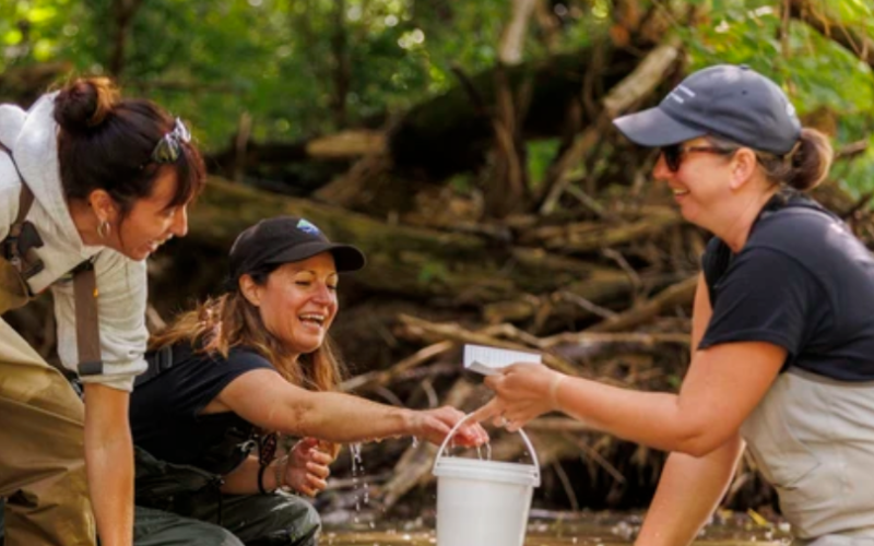 University of Windsor PhD candidate Lauren Damphousse, left, Tricia Mitchell, centre, regional director general with Fisheries and Oceans Canada, and Fisheries and Oceans Canada species-at-risk biologist Jessica Epp-Martindale work to reintroduce kidneyshell mussels (Ptychobranchus fasciolaris) into Medway Creek in London on Wednesday, July 22, 2026. (Geoff Robins/The London Free Press)