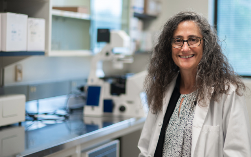 Dr. Robyn Klein is leading a new study to better understand what happens in the brain after West Nile virus encephalitis. She's one of 18 Western researchers to receive new funding from the Canadian Institutes of Health Research. (Megan Morris/Schulich Medicine & Dentistry)