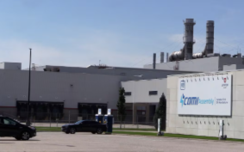 Cami plant
