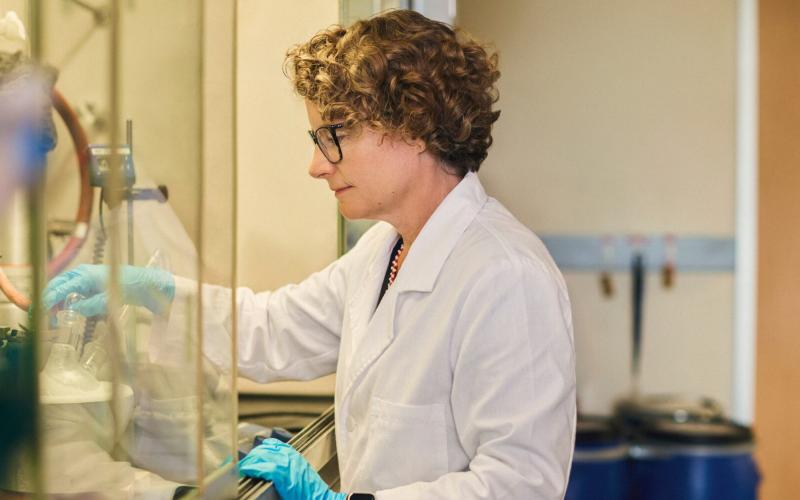 Elizabeth Gillies, a professor in Western’s departments of chemistry and chemical and biochemical engineering, has won the 2026 NSERC John C. Polanyi Award. (NSERC)