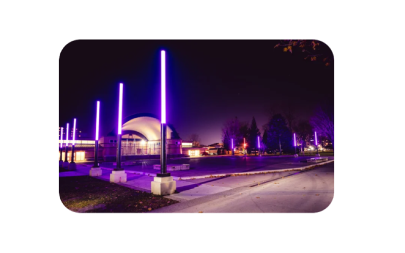 Shine the Light on Woman Abuse Campaign