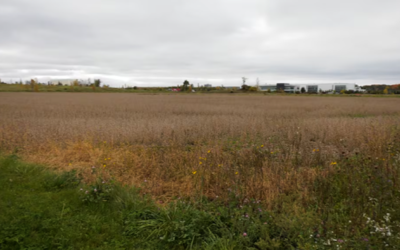 Pharmaline will build a 90,000 sq. ft. facility on five acres of land at Innovation Park. (Bryan Bicknell/CTV News London)