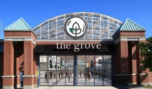 Growing The Grove