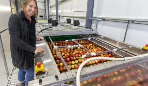 Aylmer apple producer invests $4M to expand sales in competitive market
