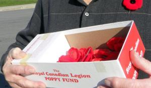 Embracing military roots, Western University medical school backs poppy drive