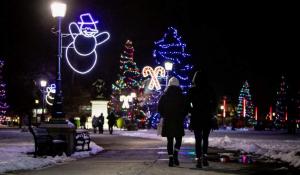 Londoners invited to Victoria Park for Lighting of the Lights
