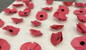 Poppy Project at Fanshawe College makes seed paper poppies that grow into flowers