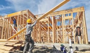 Record year for building sector