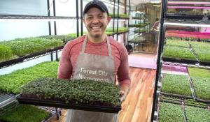 Tiny urban farm puts down roots in downtown London retail space