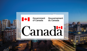 Canada launches new temporary residence pathway to welcome those fleeing the war in Ukraine