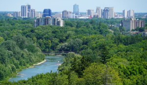 Families with young kids leaving Toronto for southwestern Ontario