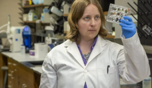 Western University researchers won record $268M in funding last year