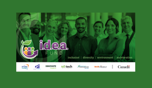 i.d.e.a. Fund Applications Now Open!