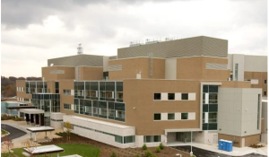 London researchers adapting military mental health program for health-care workers