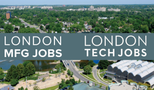 LEDC: Revolutionizing the Job market with Job portals