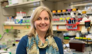 Western researchers attract more than $7.6M in federal funding