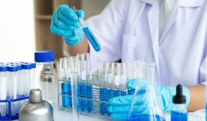 Government of Canada invests $3 million to help early-stage companies adopt low-carbon processes and products