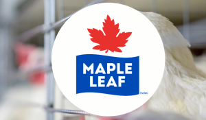 Maple Leaf Foods Job Fair 