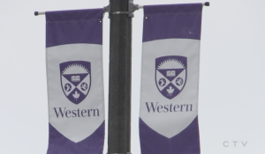 First year students at Western University take part in 'O Serves'