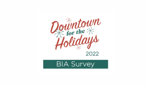 Downtown for the Holidays - 2022 BIA Survey