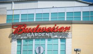 Budweiser Gardens eyes possible renovation with help from London, Ont. city council