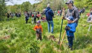 Canada Life makes major donation to ReForest London, Ont. during tree planting event