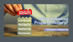 Why intellectual property matters?