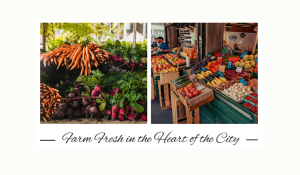 Westmount Urban Farmers Market