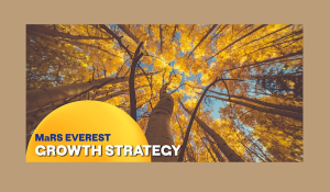 TechAlliance: Growth Strategy
