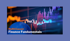 TechAlliance: Finance Fundamentals