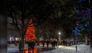 'Be merry and shine bright': Lighting of the Lights to kick off holiday season