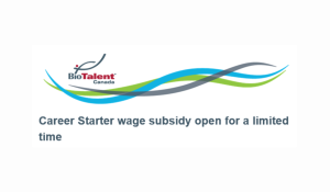 Career Starter wage subsidy open for a limited time
