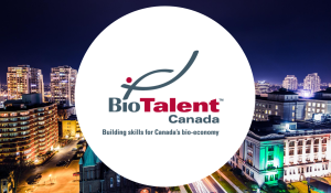 Technical training to kick-start your employee onboarding
